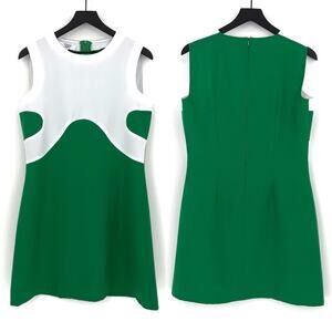 SWINGING CHICKS 60s 70s Inspired Retro A Line Dress Green White L